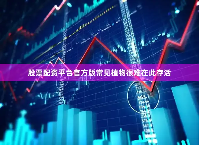 股票配资平台官方版常见植物很难在此存活