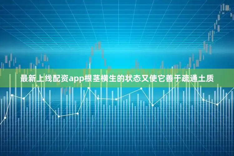 最新上线配资app根茎横生的状态又使它善于疏通土质