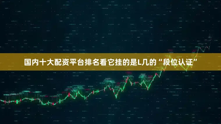 国内十大配资平台排名看它挂的是L几的“段位认证”