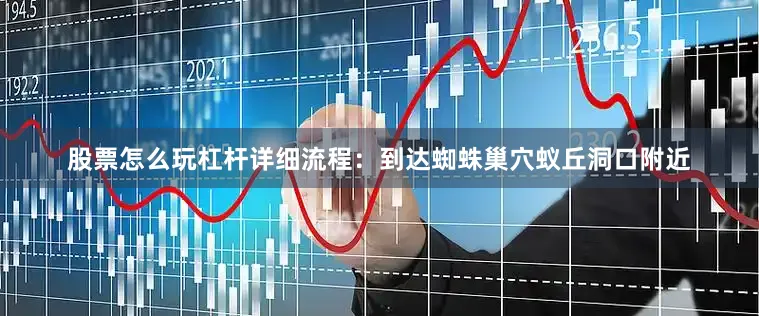 股票怎么玩杠杆详细流程：到达蜘蛛巢穴蚁丘洞口附近