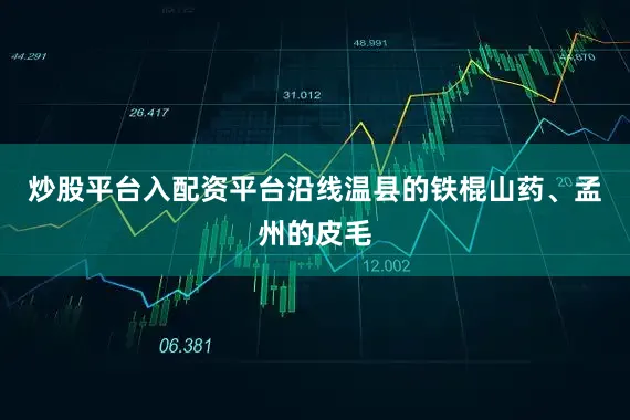 炒股平台入配资平台沿线温县的铁棍山药、孟州的皮毛